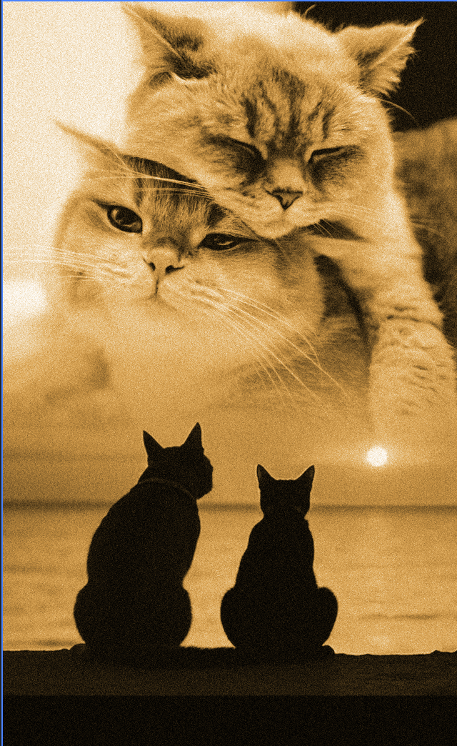 Two cats at sunset blended with a cat face in the sky