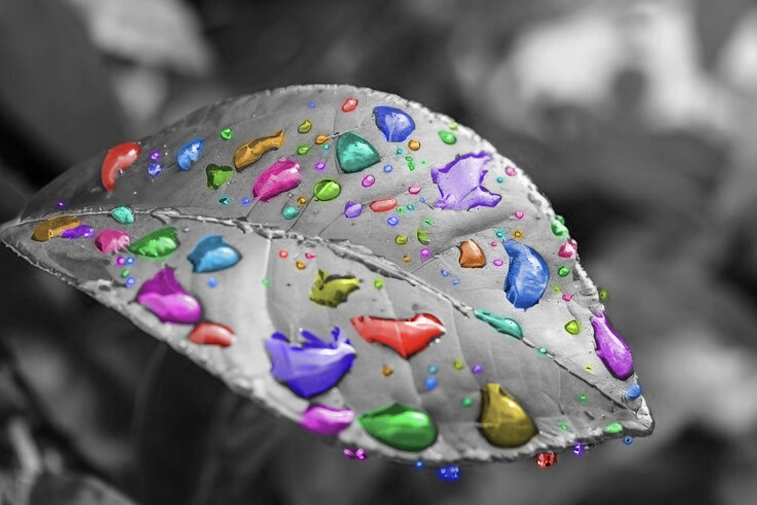 Colour pop leaf with coloured droplets