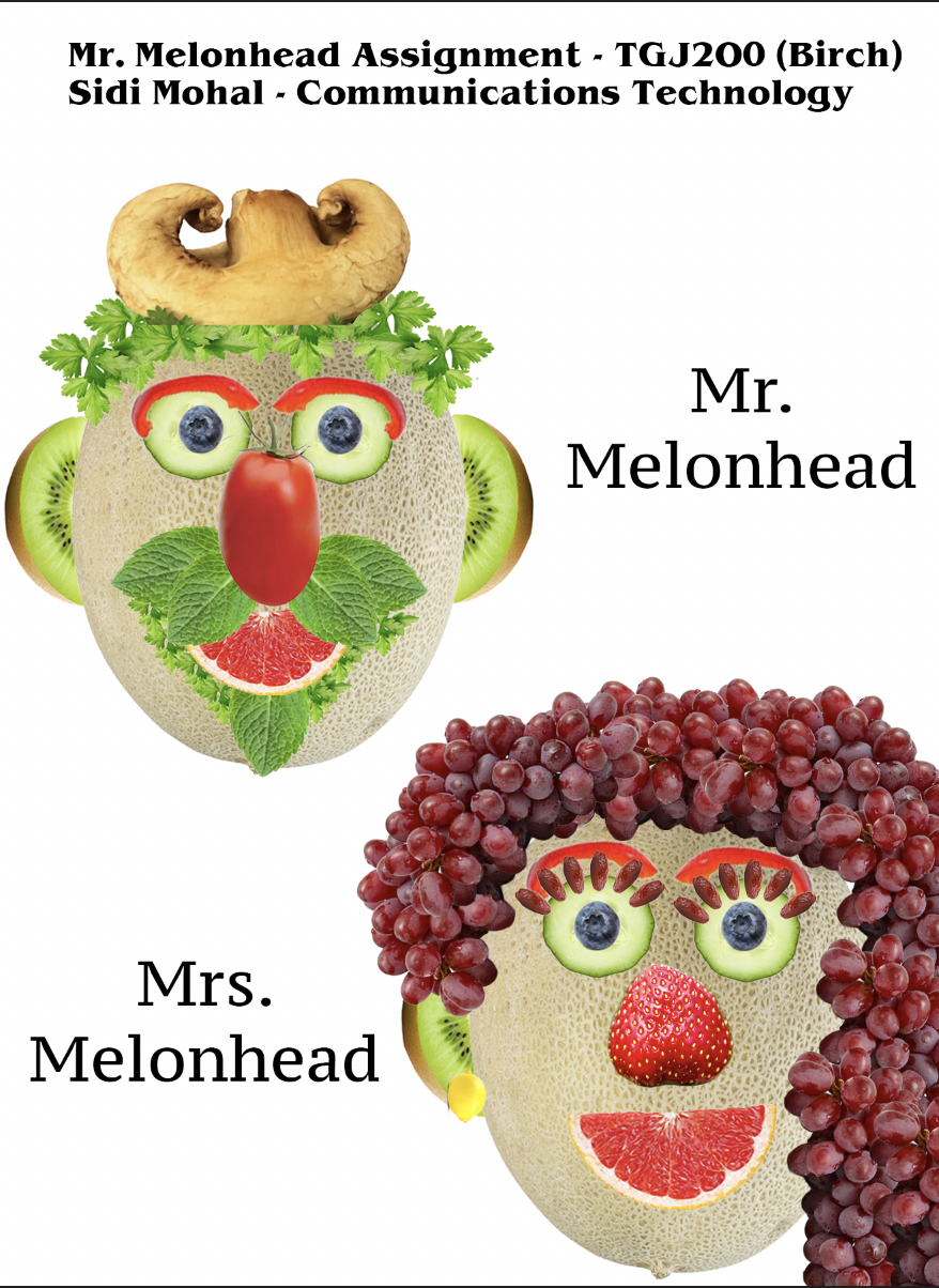 Mr and Mrs Melonhead food-face portraits